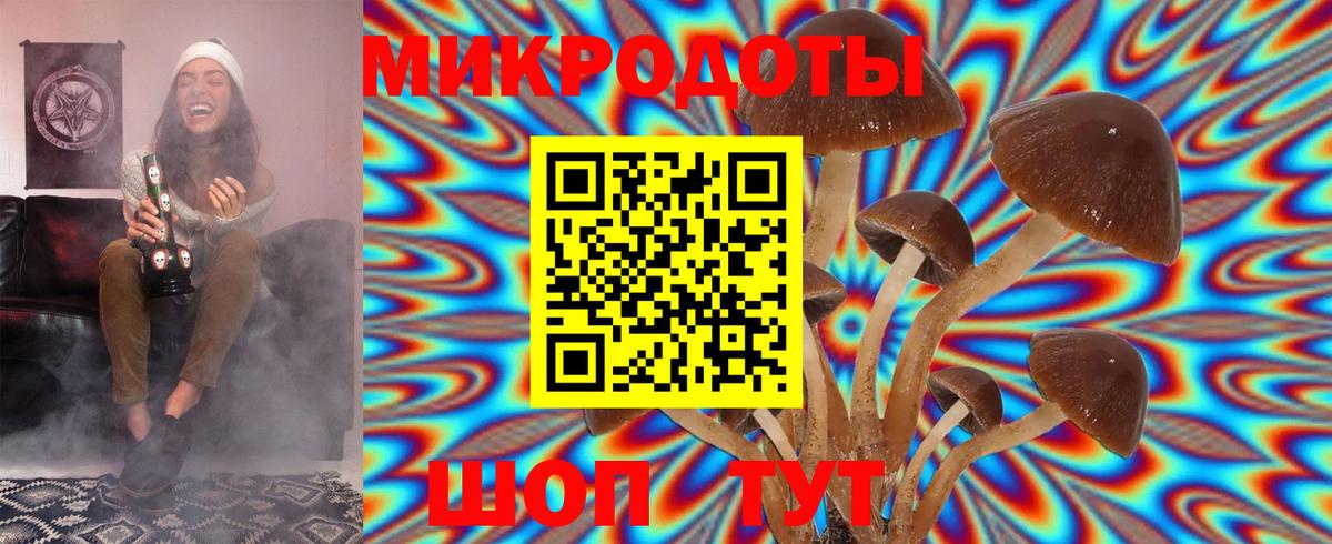 Галлюциногенные грибы мицелий Отрадный